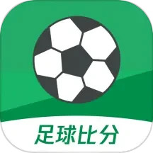 球掌柜