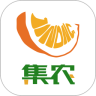 集农网