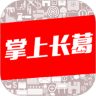 掌上长葛