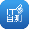 IT自测