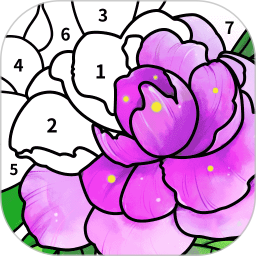 Color by number