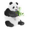 学生英汉字典(离线)