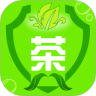 茶店管家