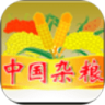中国杂粮网