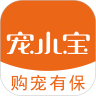 宠小宝