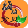杨梅噪音计