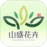 山盛花卉