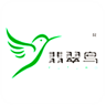 翡翠鸟