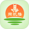 田园大脑