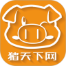 猪天下网