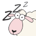 数绵羊睡眠失眠